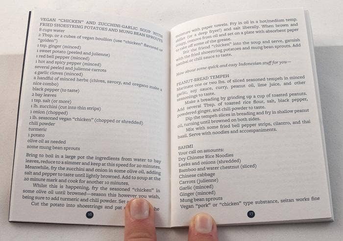 Fire & Ice: Vegan Recipes from Hot & Soul (Zine) features diverse vegan recipes, including a 'chicken' soup with zucchini, tempeh, and bahmi, highlighting spicy and cool dishes.