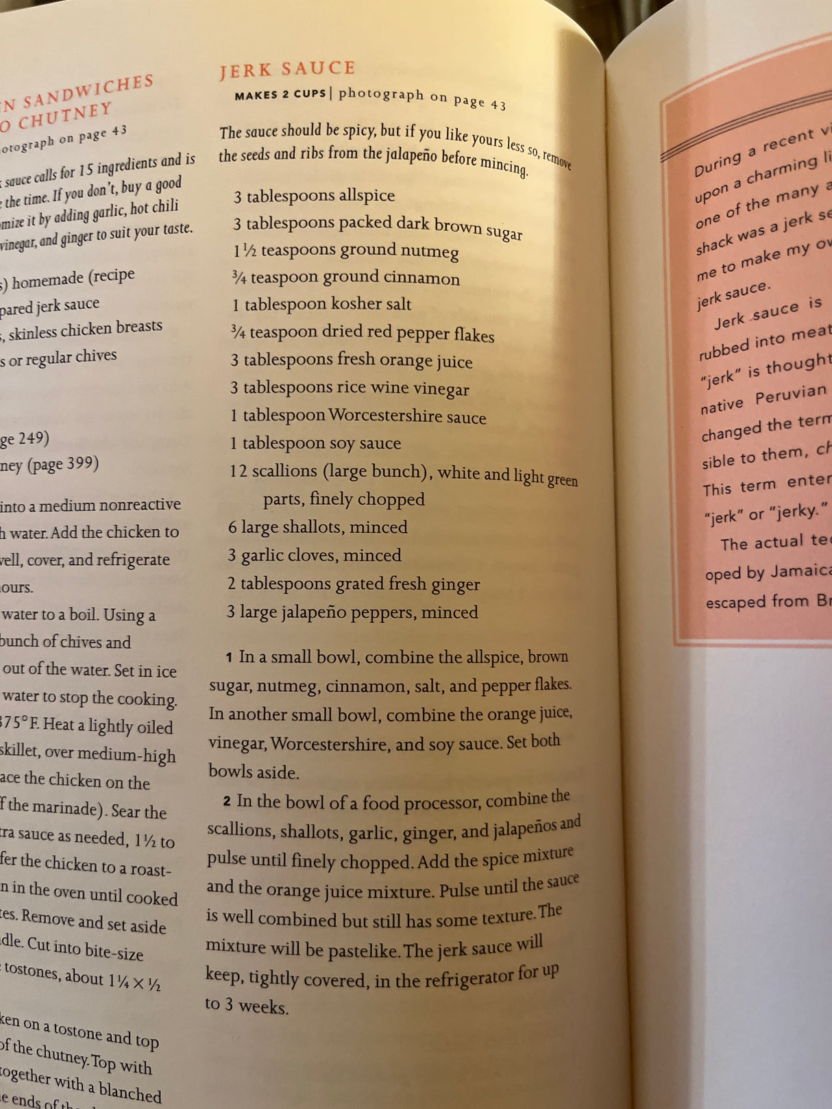 Martha Stewart’s agora D’oeuvres cookbook spread featuring a Jerk Sauce recipe with ingredients list, preparation steps, and storage advice, alongside a Jamaican jerk history sidebar.