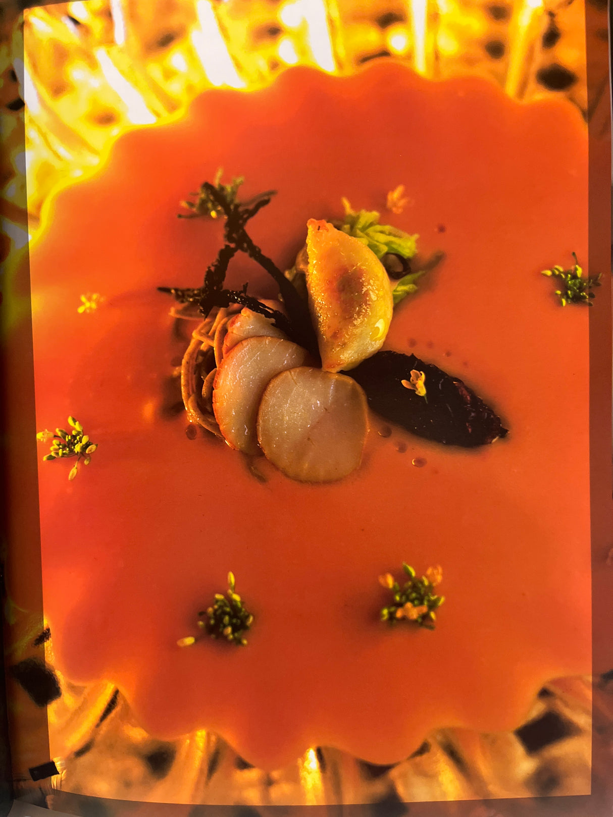 RARE Duquesne Club Cookbook: Features a plated dish with seared scallops, a raviolo, mushroom nest, micro-greens, and orange sauce, showcasing modern culinary artistry.