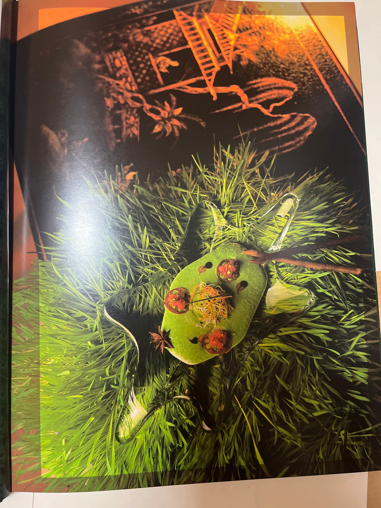 RARE Duquesne Club Cookbook: Glossy spread featuring an avant-garde appetizer with red spheres, microgreens, and decorative elements on a moss-green board with clear supports.