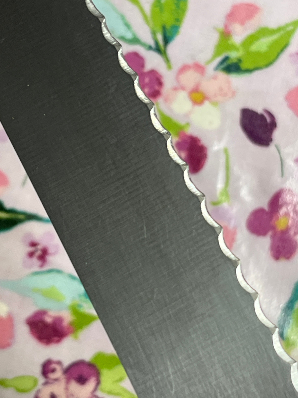 8" scalloped bread knife - stainless steel blade white plastic handle - Dexter Russell SANI-SAFE