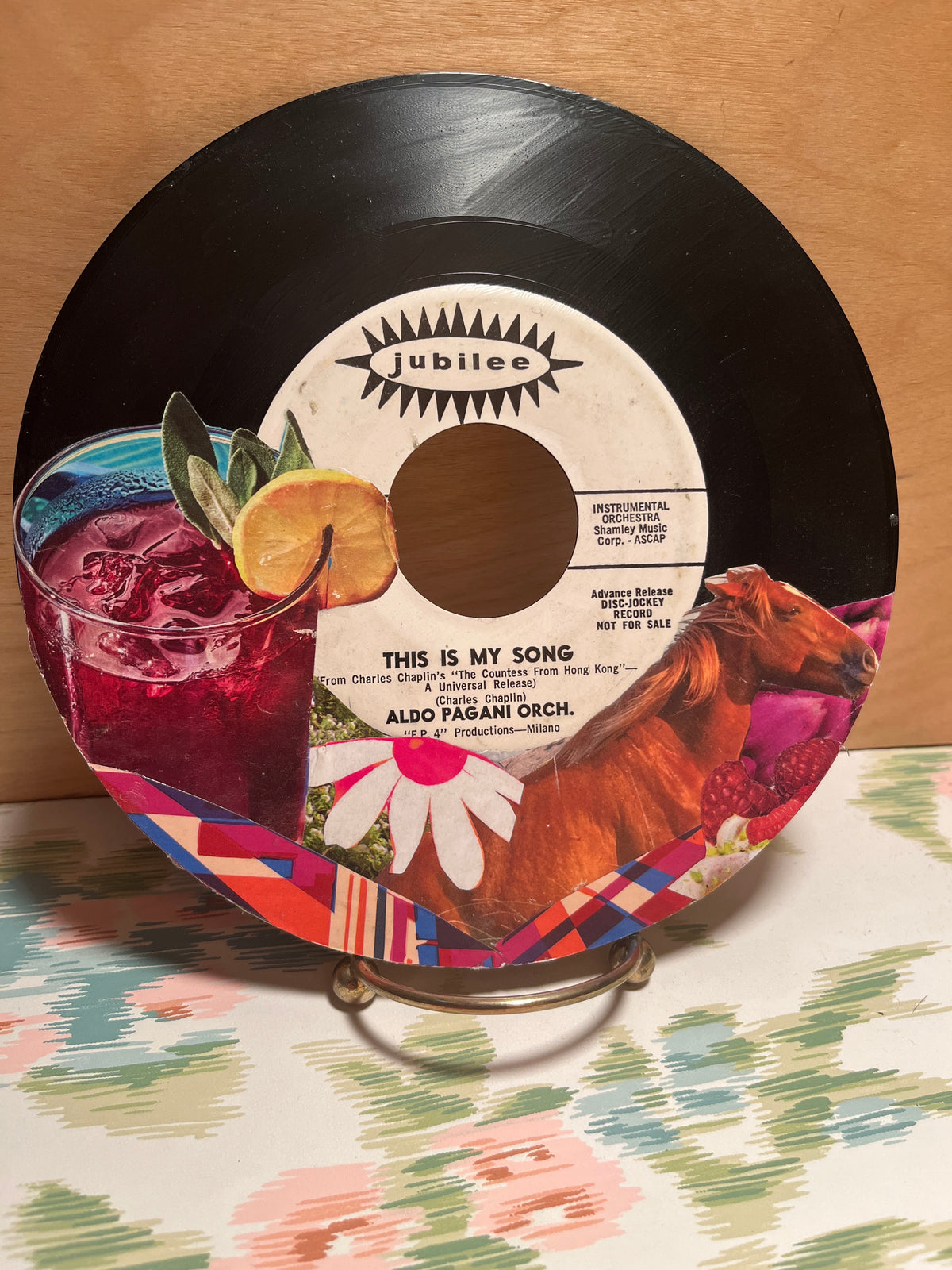 “This Is My Song” (2026) - mixed media on vinyl record - Vibrantly Earthy
