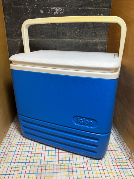 24-can/16qt blue cooler - Igloo