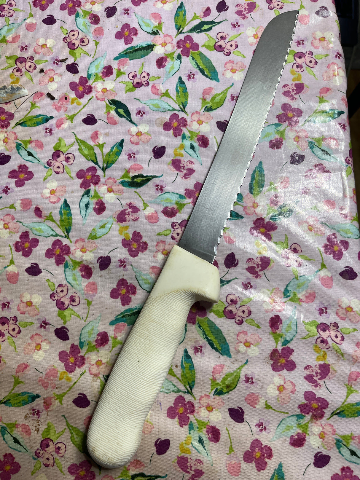 8" scalloped bread knife - stainless steel blade white plastic handle - Dexter Russell SANI-SAFE