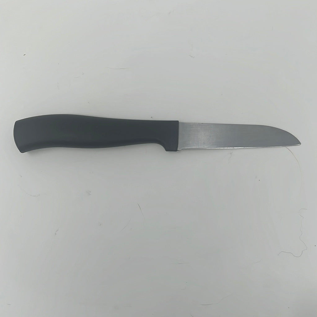 A basic paring knife with a black handle, suitable for kitchen tasks.