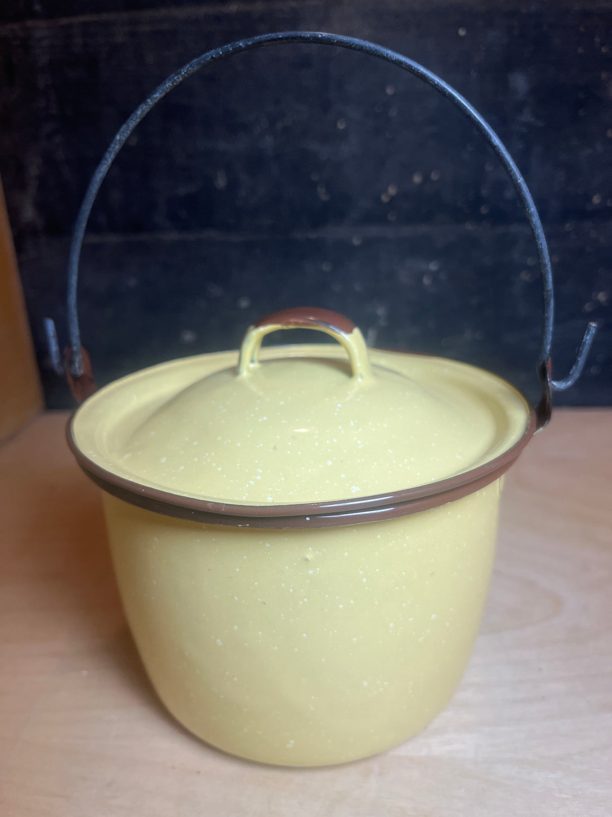 Mini pot with lid and wire handle - vintage enamelware, ideal for garden use, featuring a speckled design and portability for picking berries.